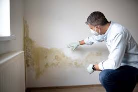 Trusted Nicholson, MS Mold Inspection Experts